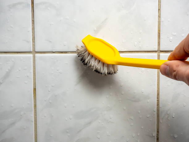 Home Mold Removal in Kenyon, MN
