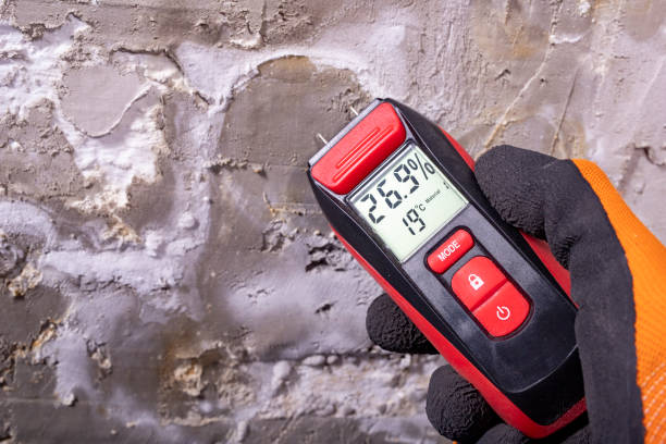 Certified Mold Removal in Kenyon, MN